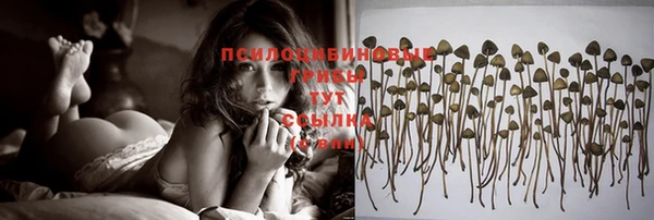 Альфа ПВП Липки